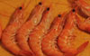 prawns orgy